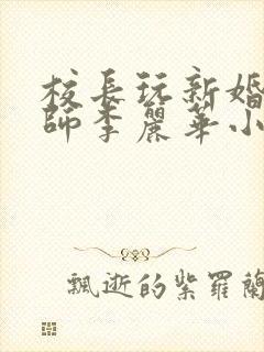 校长玩新婚女教师李丽华小说