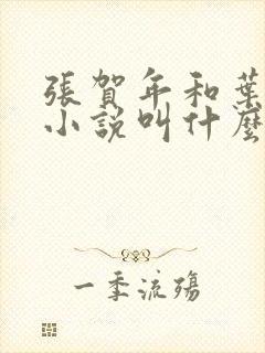 张贺年和叶繁姿小说叫什么名字