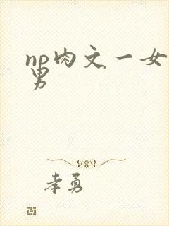 np肉文一女多男