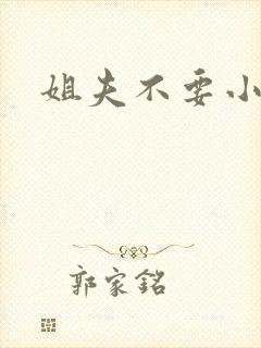 姐夫不要小说
