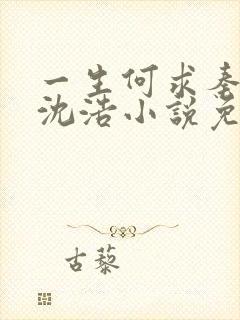 一生何求秦菲雪沈浩小说免费阅读全文