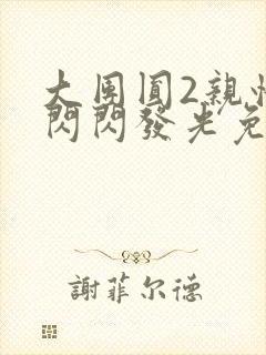 大团圆2亲情会闪闪发光免费