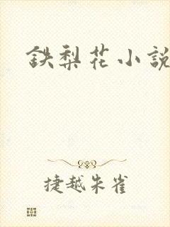铁梨花小说