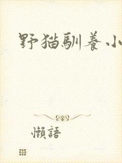 野猫驯养小说