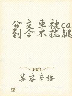 公交车被cao到合不拢腿视频