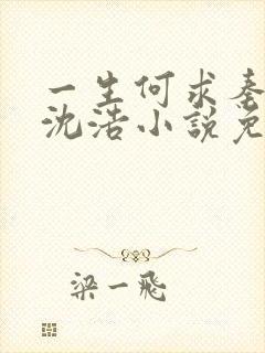 一生何求秦菲雪沈浩小说免费阅读全文笔趣阁