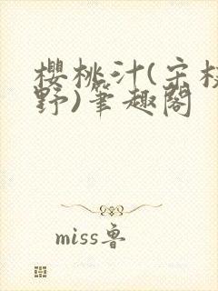 樱桃汁(宋枝江野)笔趣阁