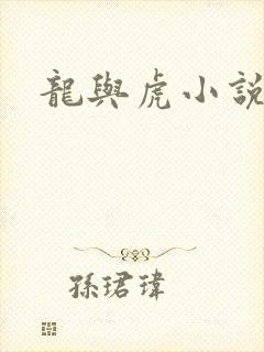 龙与虎小说