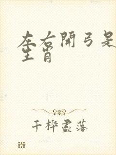 左右开弓是什么生肖