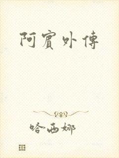 阿宾外传