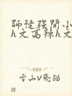 师徒强开小嫩苞h文高辣h文