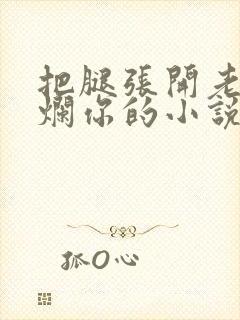 把腿张开老子臊烂你的小说