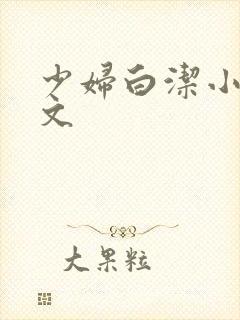 少妇白洁小说全文