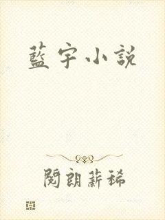蓝宇小说