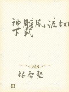 神雕风流txt下载