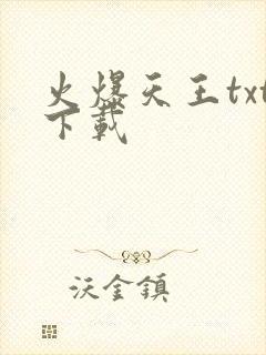 火爆天王txt下载