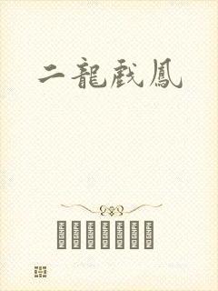 二龙戏凤