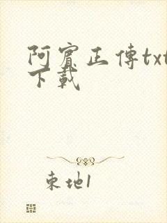 阿宾正传txt下载