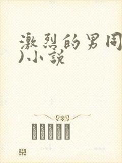 激烈的男同(h)小说