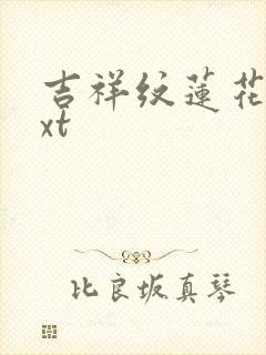 吉祥纹莲花楼txt