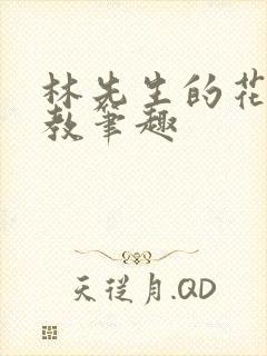 林先生的花式管教笔趣