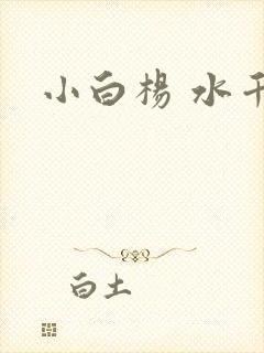 小白杨 水千丞