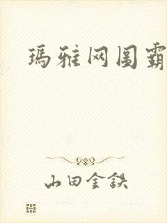 玛雅网图霸天下