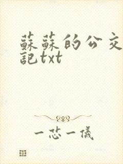 苏苏的公交车日记txt