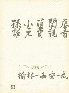 孙小萌闫辰的小说免费观看