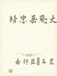 精忠岳飞大结局