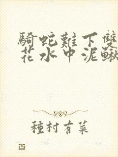 骑蛇难下双金银花水中泥鳅