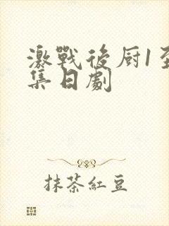 激战后厨1至5集日剧