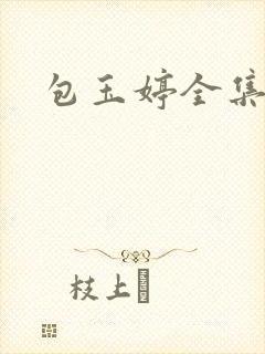 包玉婷全集