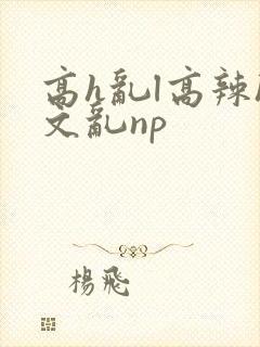 高h乱l高辣h文乱np
