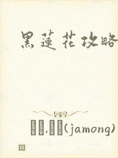 黑莲花攻略手册