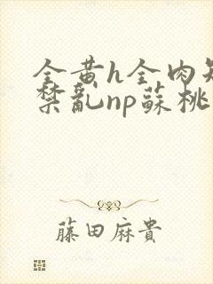 全黄h全肉短篇禁乱np苏桃