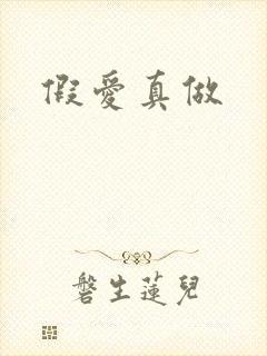 假爱真做