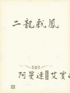 二龙戏凤
