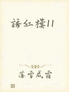 诱红楼11