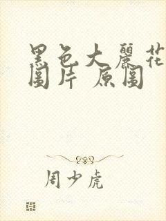 黑色大丽花真实图片 原图