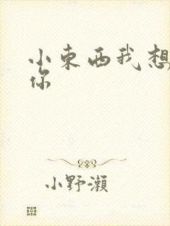 小东西我想弄坏你