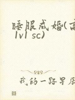睡服成婚(高h 1v1 sc)