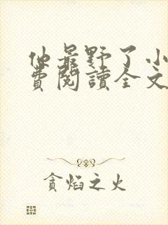 他最野了小说免费阅读全文