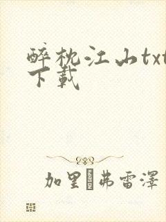 醉枕江山txt下载