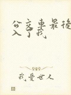 公交车最后一排入了我