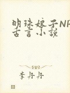 明珠娘子NPC古言小说