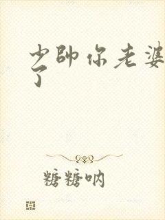 少帅你老婆又跑了