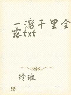 一泻千里金银花露txt