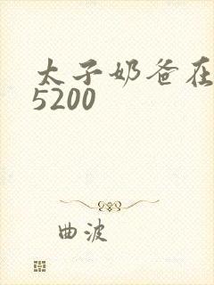 太子奶爸在花都5200