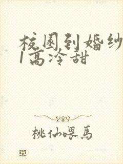 校园到婚纱1V1高冷甜